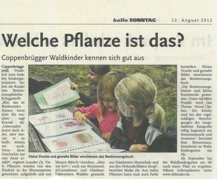 Welche Pflanze ist das? 12.08.2012